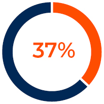 piechart_minority.jpg